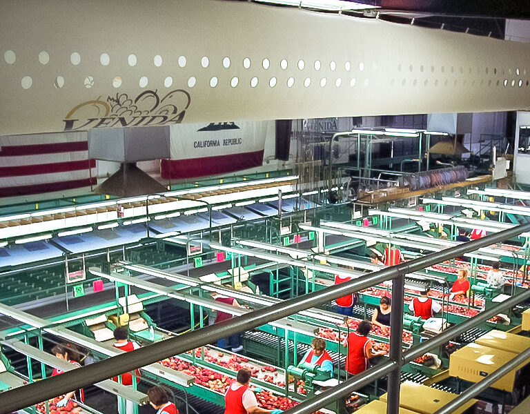 F_Venida_CardSlide_830x600